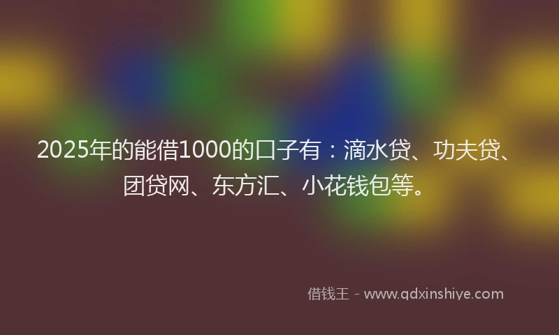 2025年的能借1000的口子有：滴水贷、功夫贷、团贷网、东方汇、小花钱包等。