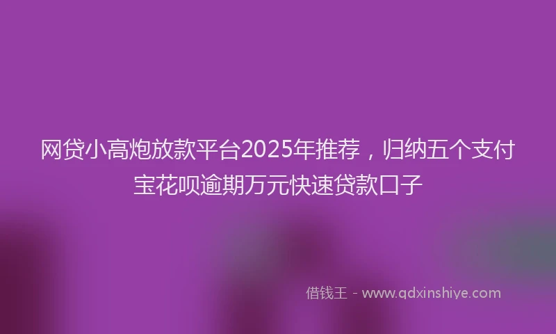 网贷小高炮放款平台2025年推荐，归纳五个支付宝花呗逾期万元快速贷款口子