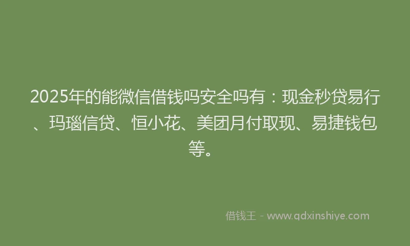 2025年的能微信借钱吗安全吗有：现金秒贷易行、玛瑙信贷、恒小花、美团月付取现、易捷钱包等。