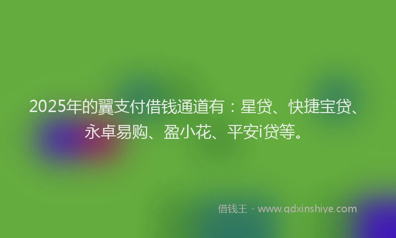 2025年的翼支付借钱通道有：星贷、快捷宝贷、永卓易购、盈小花、平安i贷等。