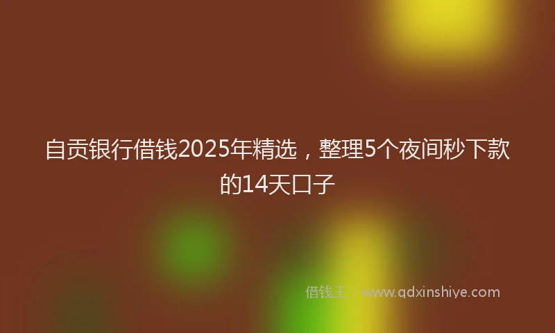 自贡银行借钱2025年精选，整理5个夜间秒下款的14天口子