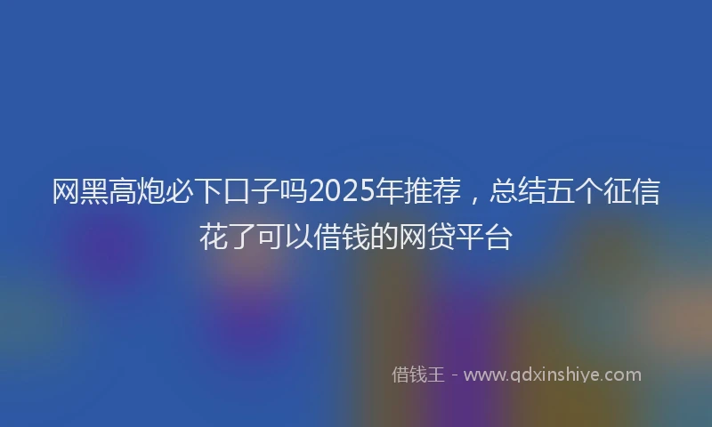 网黑高炮必下口子吗2025年推荐，总结五个征信花了可以借钱的网贷平台