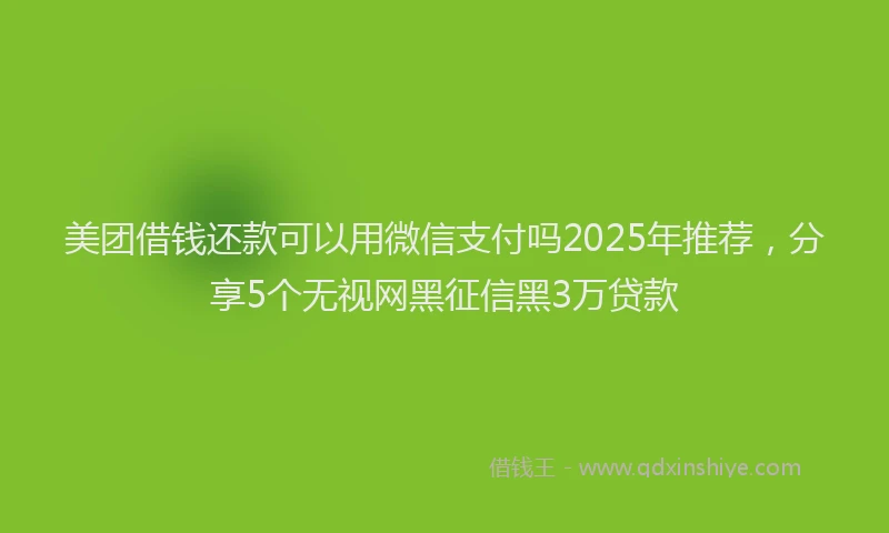 美团借钱还款可以用微信支付吗2025年推荐，分享5个无视网黑征信黑3万贷款