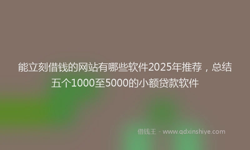 能立刻借钱的网站有哪些软件2025年推荐，总结五个1000至5000的小额贷款软件
