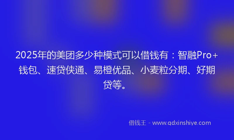 2025年的美团多少种模式可以借钱有：智融Pro+钱包、速贷侠通、易橙优品、小麦粒分期、好期贷等。