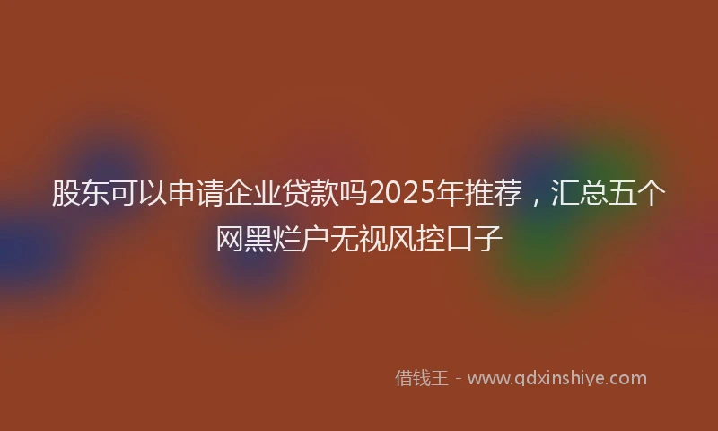 股东可以申请企业贷款吗2025年推荐，汇总五个网黑烂户无视风控口子