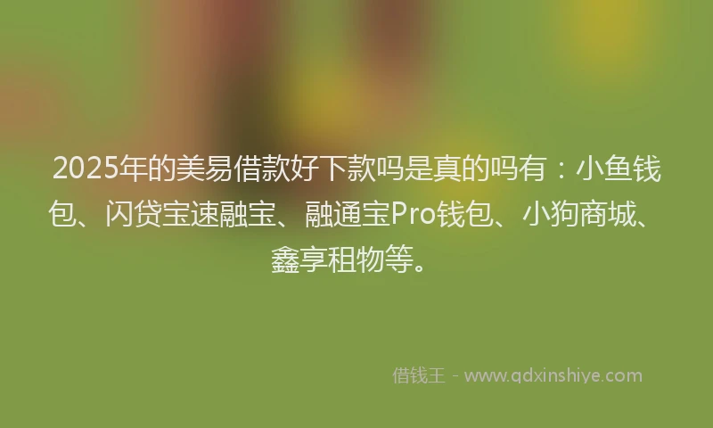 2025年的美易借款好下款吗是真的吗有：小鱼钱包、闪贷宝速融宝、融通宝Pro钱包、小狗商城、鑫享租物等。