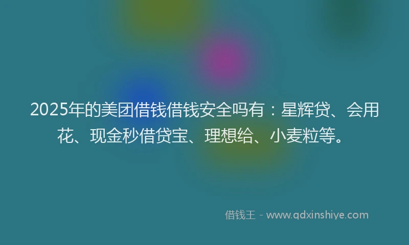 2025年的美团借钱借钱安全吗有：星辉贷、会用花、现金秒借贷宝、理想给、小麦粒等。