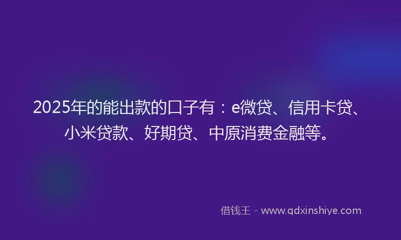 2025年的能出款的口子有：e微贷、信用卡贷、小米贷款、好期贷、中原消费金融等。