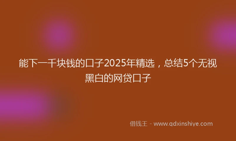 能下一千块钱的口子2025年精选，总结5个无视黑白的网贷口子