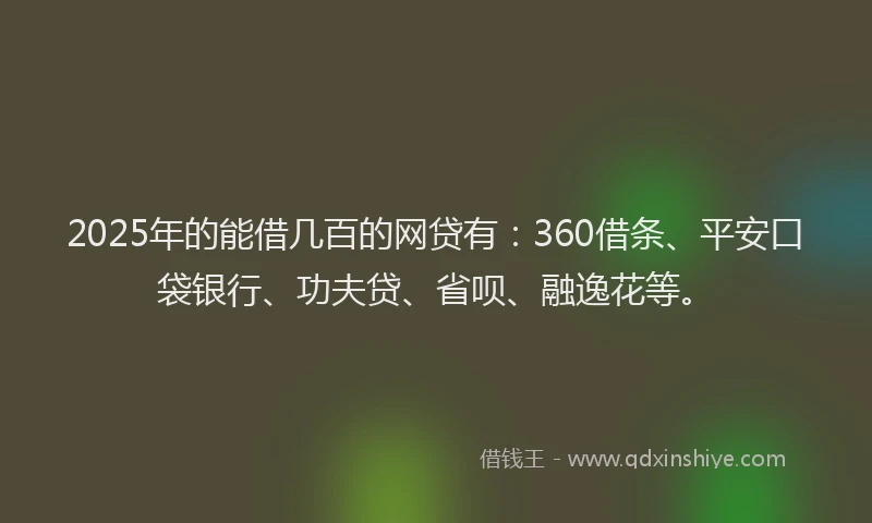 2025年的能借几百的网贷有：360借条、平安口袋银行、功夫贷、省呗、融逸花等。