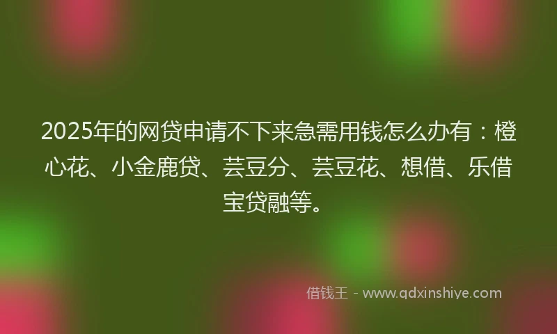 2025年的网贷申请不下来急需用钱怎么办有：橙心花、小金鹿贷、芸豆分、芸豆花、想借、乐借宝贷融等。