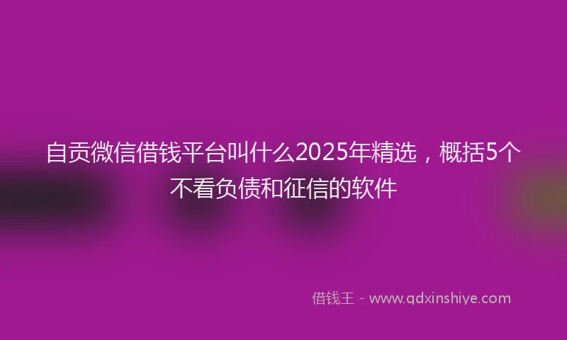 自贡微信借钱平台叫什么2025年精选，概括5个不看负债和征信的软件