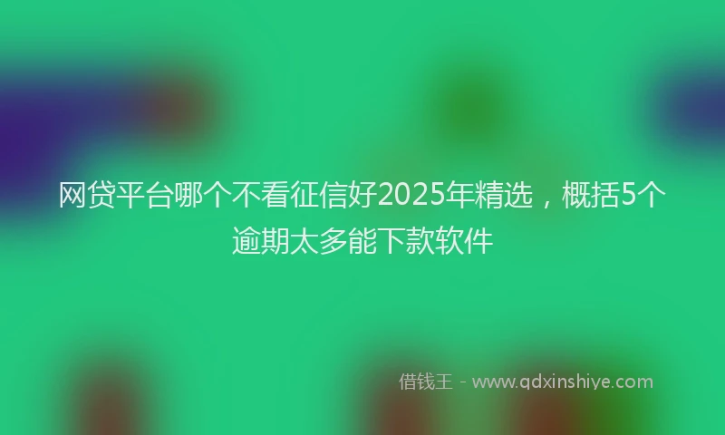 网贷平台哪个不看征信好2025年精选，概括5个逾期太多能下款软件