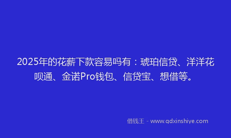 2025年的花薪下款容易吗有：琥珀信贷、洋洋花呗通、金诺Pro钱包、信贷宝、想借等。