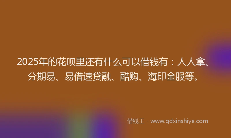 2025年的花呗里还有什么可以借钱有：人人拿、分期易、易借速贷融、酷购、海印金服等。