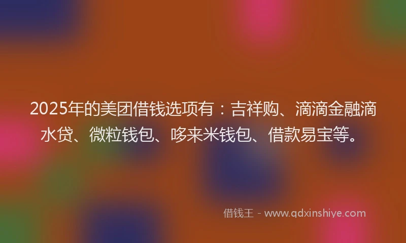 2025年的美团借钱选项有：吉祥购、滴滴金融滴水贷、微粒钱包、哆来米钱包、借款易宝等。