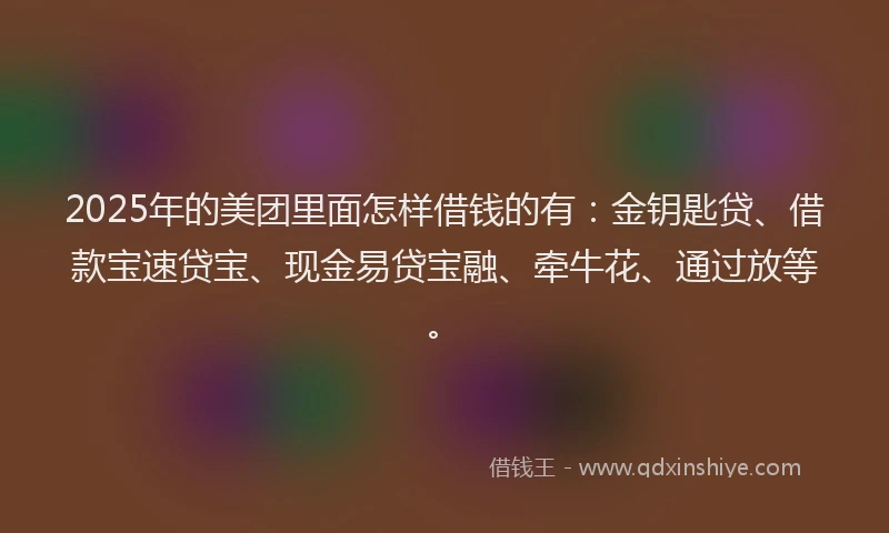 2025年的美团里面怎样借钱的有：金钥匙贷、借款宝速贷宝、现金易贷宝融、牵牛花、通过放等。