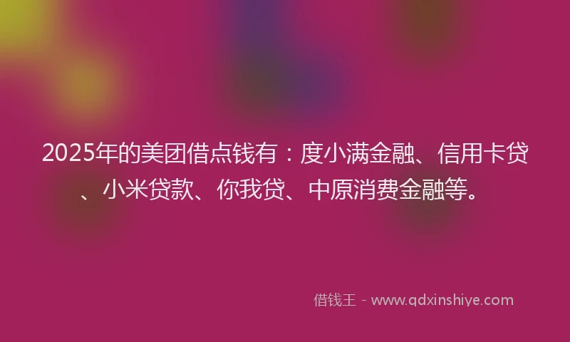 2025年的美团借点钱有：度小满金融、信用卡贷、小米贷款、你我贷、中原消费金融等。