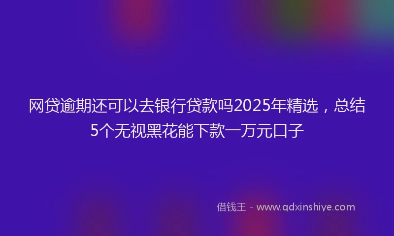 网贷逾期还可以去银行贷款吗2025年精选，总结5个无视黑花能下款一万元口子