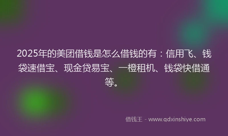 2025年的美团借钱是怎么借钱的有：信用飞、钱袋速借宝、现金贷易宝、一橙租机、钱袋快借通等。
