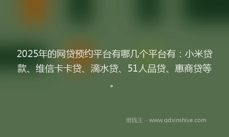 2025年的网贷预约平台有哪几个平台有：小米贷款、维信卡卡贷、滴水贷、51人品贷、惠商贷等。