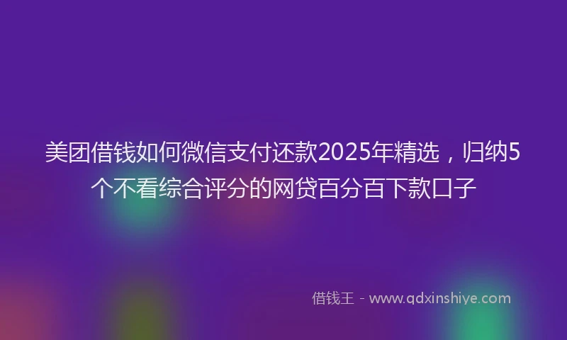 美团借钱如何微信支付还款2025年精选，归纳5个不看综合评分的网贷百分百下款口子