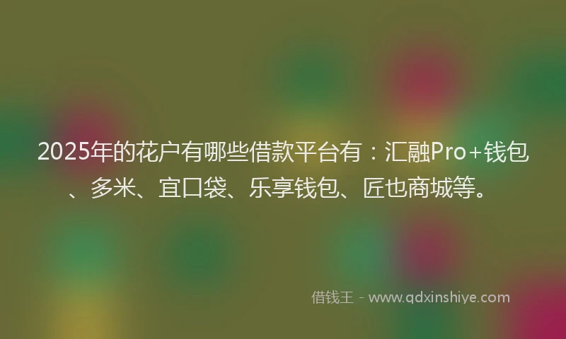 2025年的花户有哪些借款平台有：汇融Pro+钱包、多米、宜口袋、乐享钱包、匠也商城等。