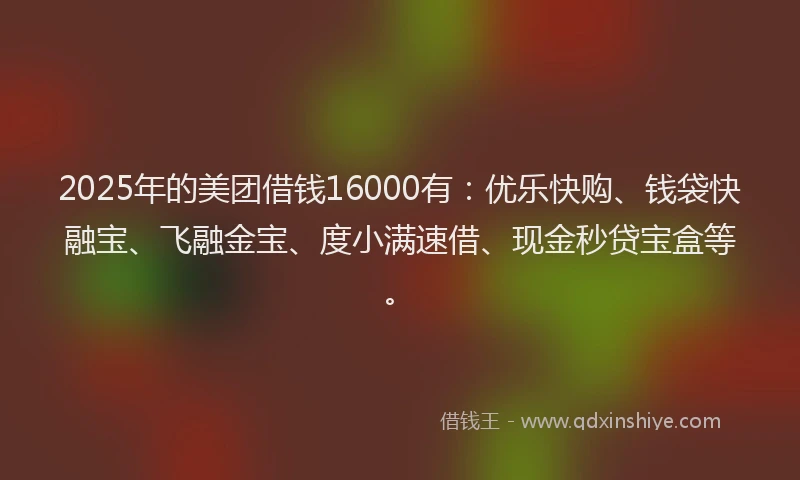 2025年的美团借钱16000有:优乐快购、钱袋快融宝、飞融金宝、度小满速借、现金秒贷宝盒等。