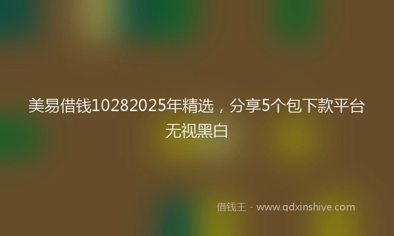 美易借钱10282025年精选，分享5个包下款平台无视黑白