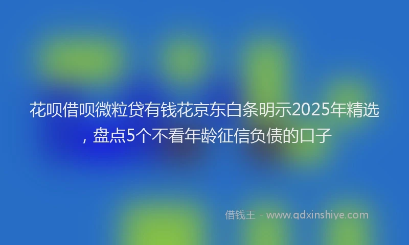 花呗借呗微粒贷有钱花京东白条明示2025年精选，盘点5个不看年龄征信负债的口子