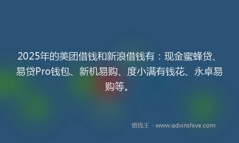 2025年的美团借钱和新浪借钱有：现金蜜蜂贷、易贷Pro钱包、新机易购、度小满有钱花、永卓易购等。