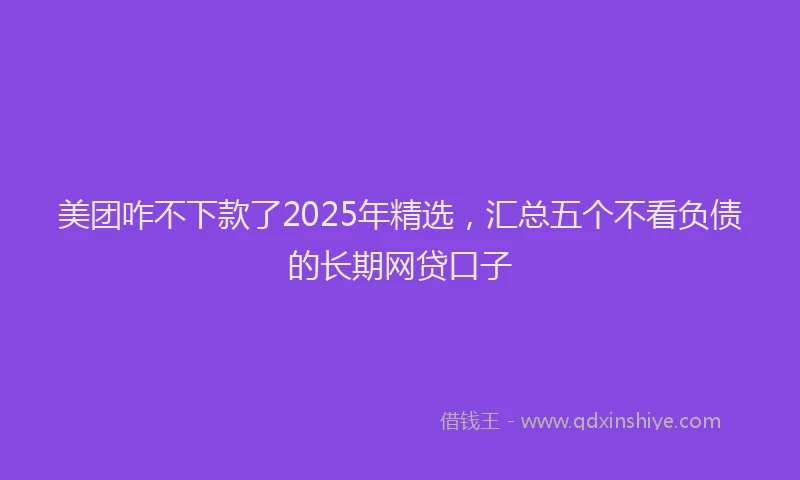 美团咋不下款了2025年精选，汇总五个不看负债的长期网贷口子