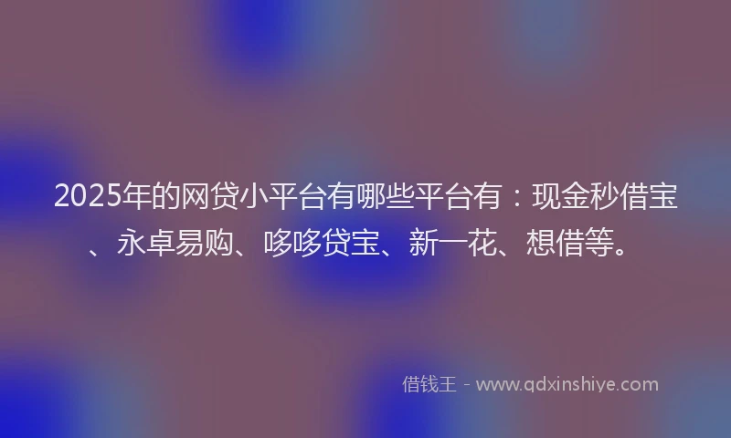 2025年的网贷小平台有哪些平台有：现金秒借宝、永卓易购、哆哆贷宝、新一花、想借等。