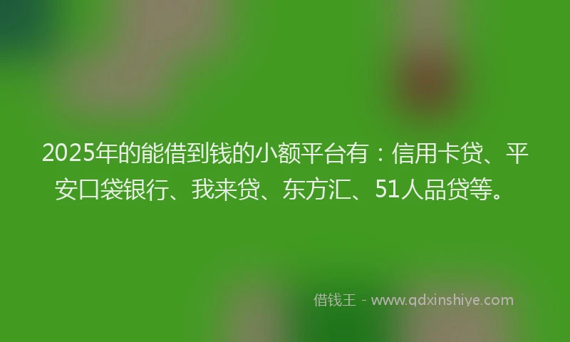 2025年的能借到钱的小额平台有：信用卡贷、平安口袋银行、我来贷、东方汇、51人品贷等。