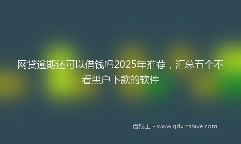 网贷逾期还可以借钱吗2025年推荐，汇总五个不看黑户下款的软件