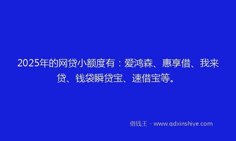 2025年的网贷小额度有：爱鸿森、惠享借、我来贷、钱袋瞬贷宝、速借宝等。