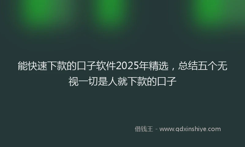 能快速下款的口子软件2025年精选，总结五个无视一切是人就下款的口子