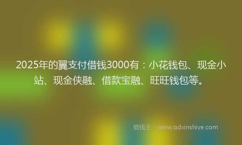 2025年的翼支付借钱3000有：小花钱包、现金小站、现金侠融、借款宝融、旺旺钱包等。