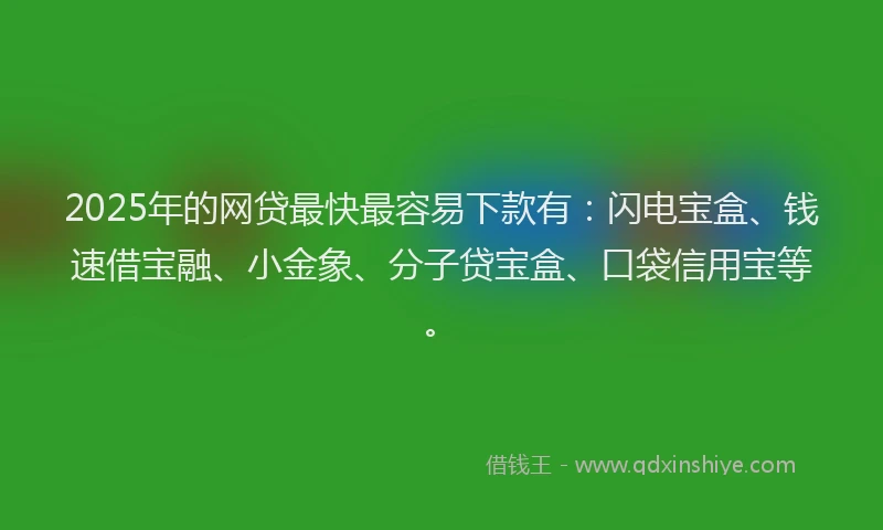 2025年的网贷最快最容易下款有：闪电宝盒、钱速借宝融、小金象、分子贷宝盒、口袋信用宝等。