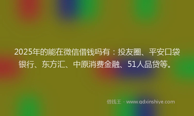 2025年的能在微信借钱吗有：投友圈、平安口袋银行、东方汇、中原消费金融、51人品贷等。