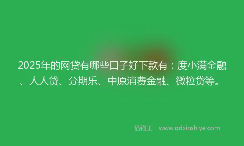 2025年的网贷有哪些口子好下款有：度小满金融、人人贷、分期乐、中原消费金融、微粒贷等。