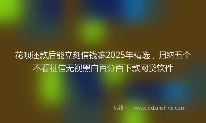 花呗还款后能立刻借钱嘛2025年精选，归纳五个不看征信无视黑白百分百下款网贷软件