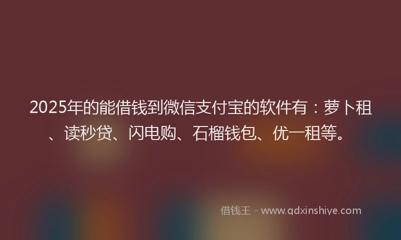2025年的能借钱到微信支付宝的软件有：萝卜租、读秒贷、闪电购、石榴钱包、优一租等。