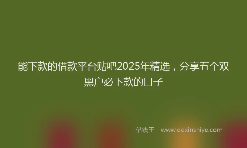 能下款的借款平台贴吧2025年精选，分享五个双黑户必下款的口子