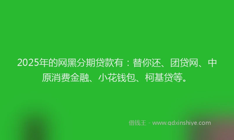 2025年的网黑分期贷款有：替你还、团贷网、中原消费金融、小花钱包、柯基贷等。