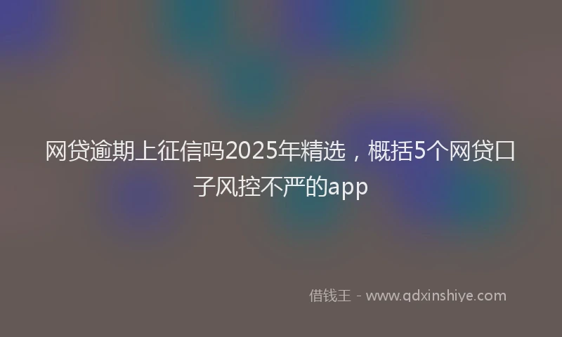 网贷逾期上征信吗2025年精选，概括5个网贷口子风控不严的app