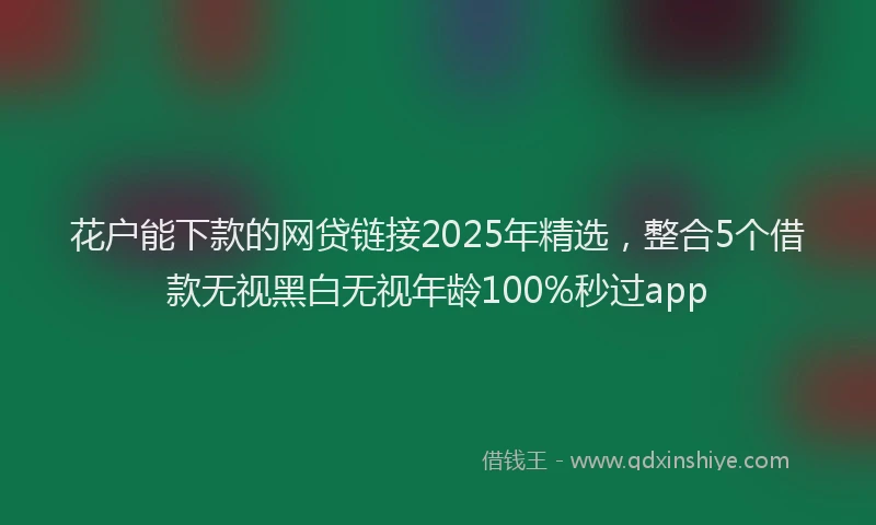 花户能下款的网贷链接2025年精选，整合5个借款无视黑白无视年龄100%秒过app