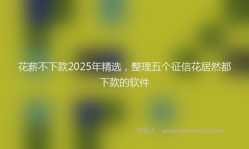 花薪不下款2025年精选，整理五个征信花居然都下款的软件