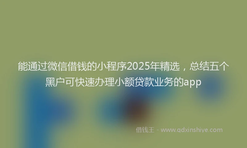 能通过微信借钱的小程序2025年精选，总结五个黑户可快速办理小额贷款业务的app